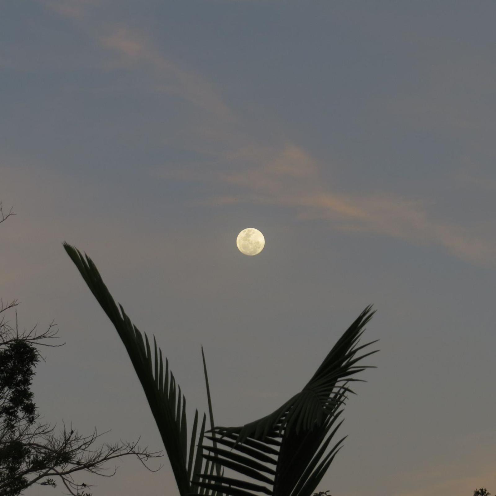 Praia Do Rosa Hostel 外观 照片